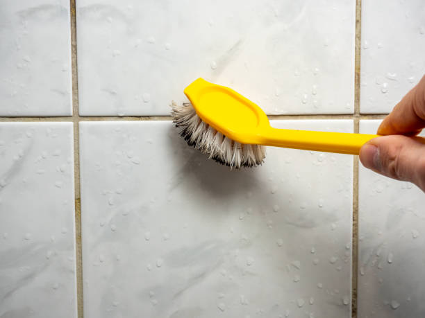 Mold Removal Process in Lockport, IL
