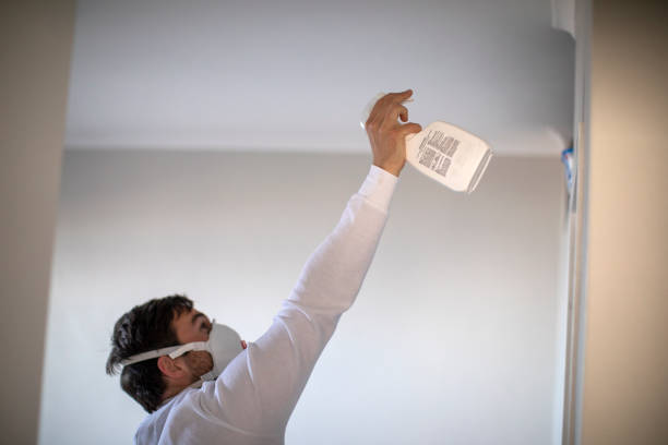 Best Toxic Mold Removal  in Lockport, IL