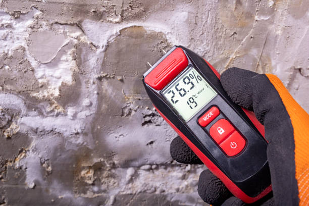 Best Mold Remediation  in Lockport, IL