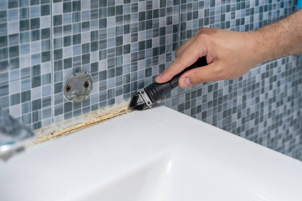 Trusted Lockport, IL Mold Removal Experts