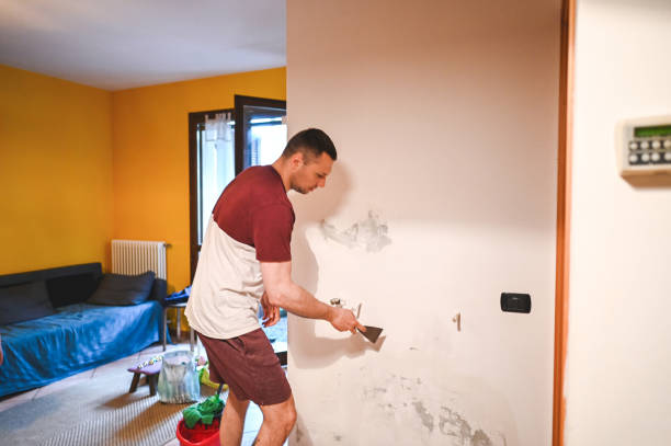 Best Mold Removal Process  in Lockport, IL